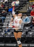 Photo from the gallery "Lone Peak vs. Davis (UHSAA 6A Second Round)"
