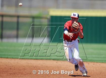 Thumbnail 3 in Bob Jones photogallery.