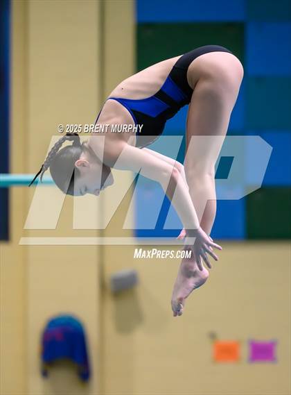 Thumbnail 2 in CHSAA 4A Dive Finals photogallery.