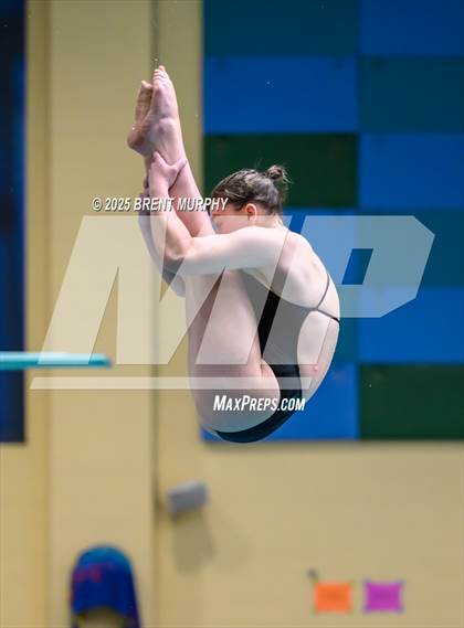 Thumbnail 3 in CHSAA 4A Dive Finals photogallery.