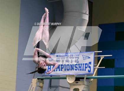 Thumbnail 2 in CHSAA 4A Dive Finals photogallery.