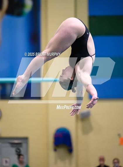 Thumbnail 1 in CHSAA 4A Dive Finals photogallery.