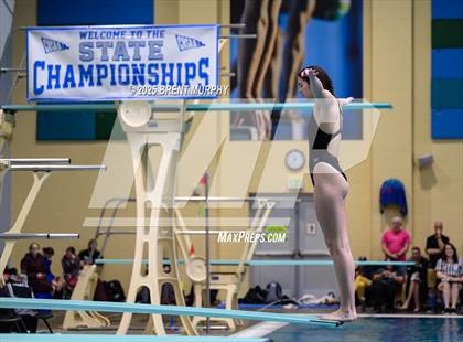 Thumbnail 1 in CHSAA 4A Dive Finals photogallery.