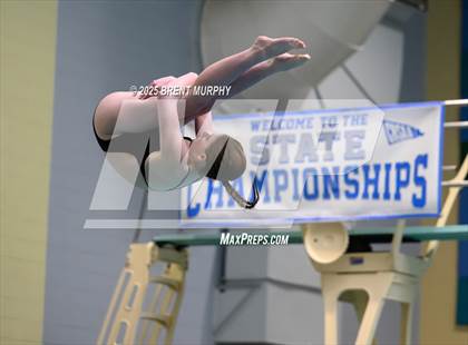 Thumbnail 3 in CHSAA 4A Dive Finals photogallery.