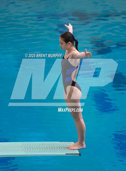 Thumbnail 3 in CHSAA 4A Dive Finals photogallery.