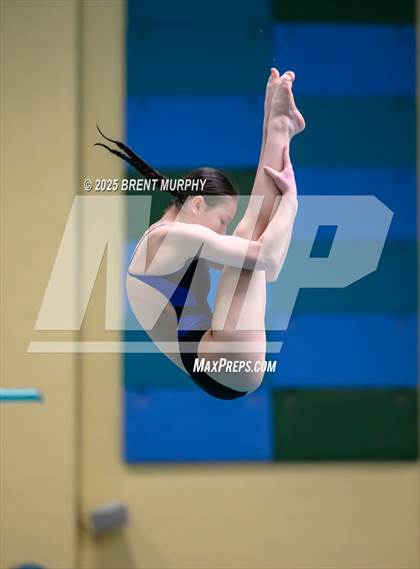 Thumbnail 2 in CHSAA 4A Dive Finals photogallery.