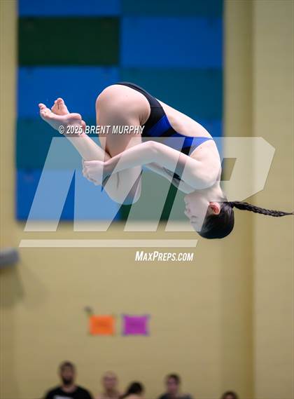 Thumbnail 2 in CHSAA 4A Dive Finals photogallery.