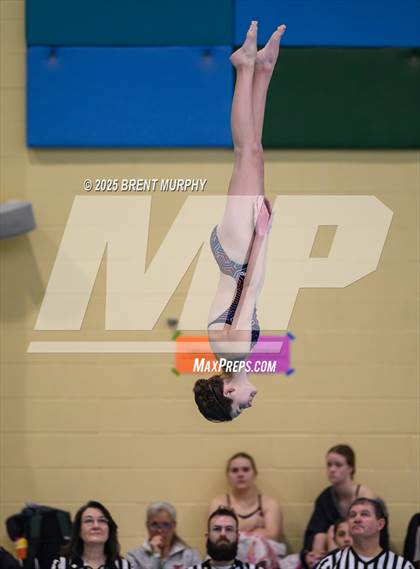 Thumbnail 2 in CHSAA 4A Dive Finals photogallery.