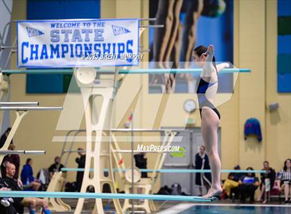 Thumbnail 1 in CHSAA 4A Dive Finals photogallery.