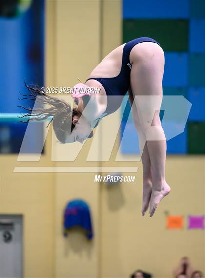 Thumbnail 3 in CHSAA 4A Dive Finals photogallery.