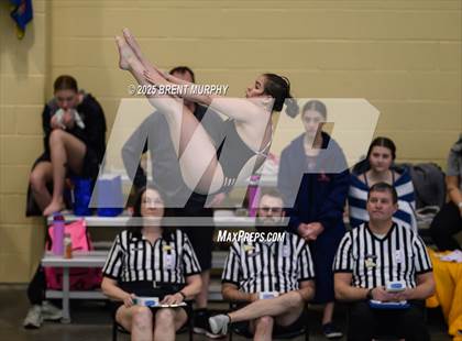 Thumbnail 3 in CHSAA 4A Dive Finals photogallery.