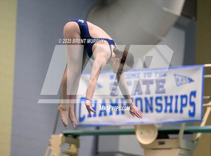 Thumbnail 3 in CHSAA 4A Dive Finals photogallery.