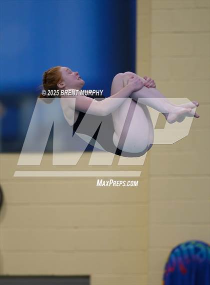 Thumbnail 3 in CHSAA 4A Dive Finals photogallery.