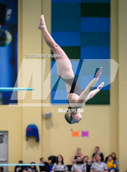 Thumbnail 1 in CHSAA 4A Dive Finals photogallery.
