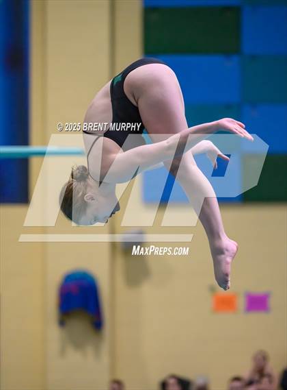 Thumbnail 2 in CHSAA 4A Dive Finals photogallery.