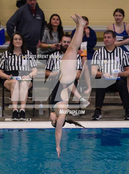 Thumbnail 1 in CHSAA 4A Dive Finals photogallery.