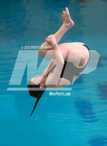 Thumbnail 1 in CHSAA 4A Dive Finals photogallery.