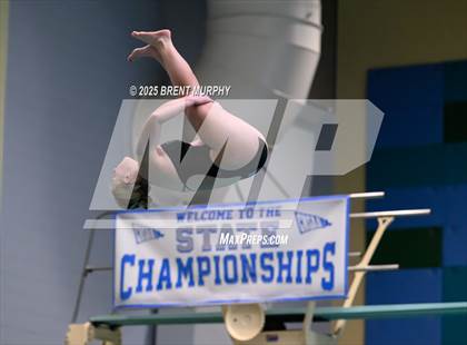 Thumbnail 1 in CHSAA 4A Dive Finals photogallery.