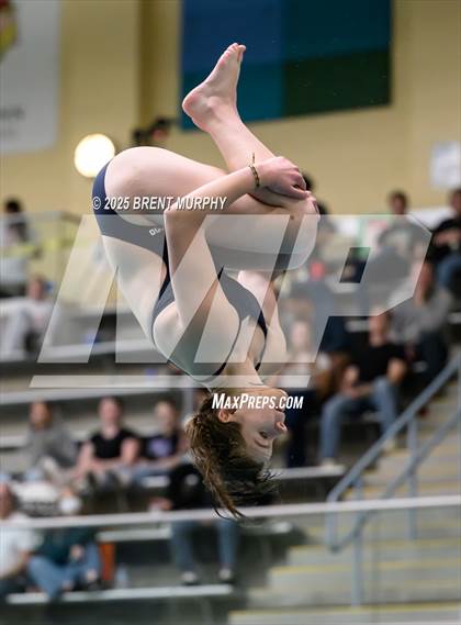 Thumbnail 1 in CHSAA 4A Dive Finals photogallery.