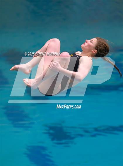 Thumbnail 1 in CHSAA 4A Dive Finals photogallery.