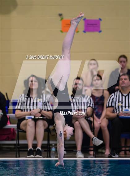Thumbnail 2 in CHSAA 4A Dive Finals photogallery.