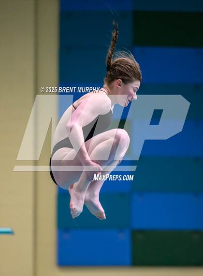 Thumbnail 1 in CHSAA 4A Dive Finals photogallery.