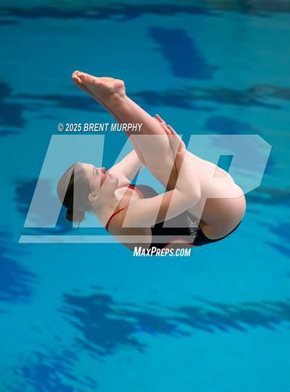 Thumbnail 1 in CHSAA 4A Dive Finals photogallery.