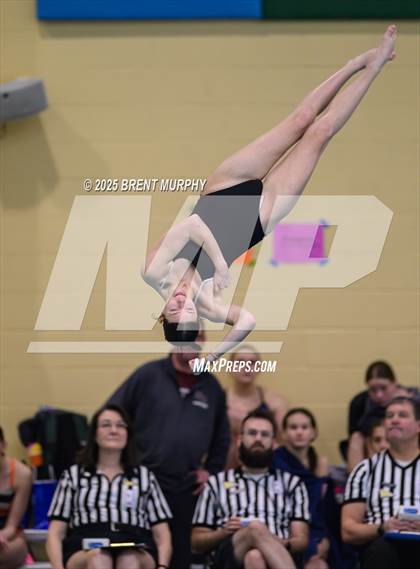 Thumbnail 3 in CHSAA 4A Dive Finals photogallery.
