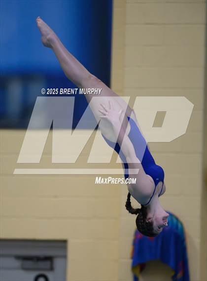 Thumbnail 2 in CHSAA 4A Dive Finals photogallery.