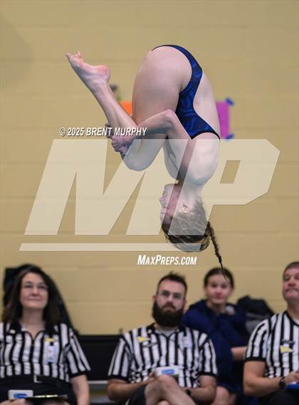 Thumbnail 1 in CHSAA 4A Dive Finals photogallery.