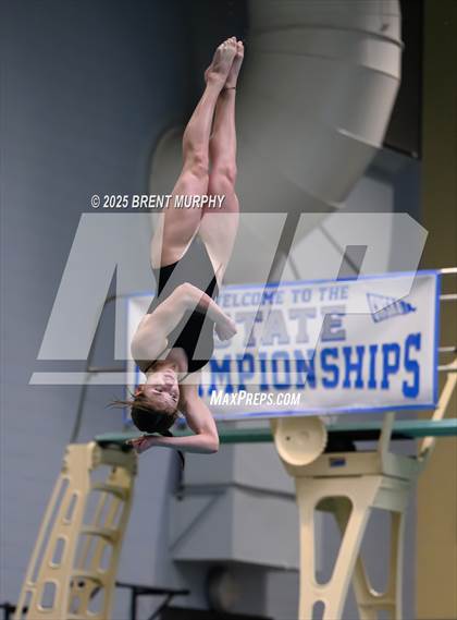 Thumbnail 3 in CHSAA 4A Dive Finals photogallery.