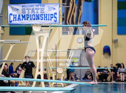 Thumbnail 1 in CHSAA 4A Dive Finals photogallery.