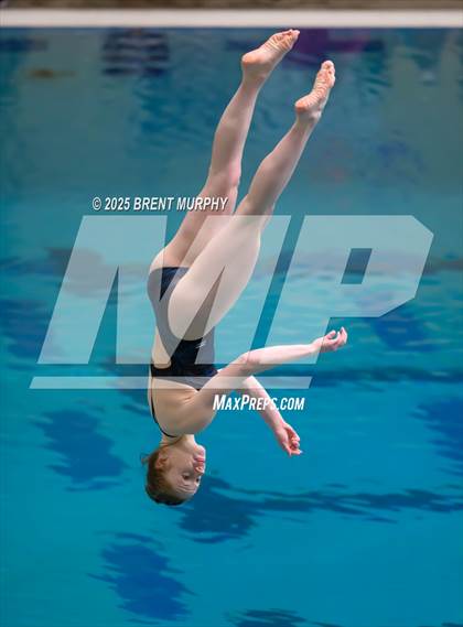 Thumbnail 3 in CHSAA 4A Dive Finals photogallery.