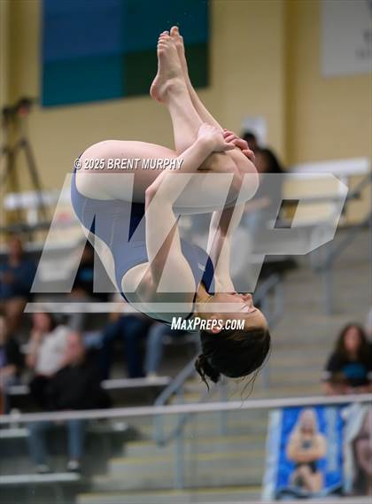 Thumbnail 3 in CHSAA 4A Dive Finals photogallery.