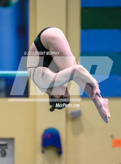 Thumbnail 2 in CHSAA 4A Dive Finals photogallery.
