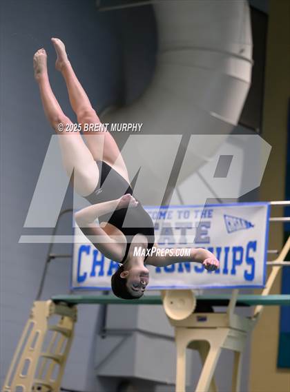 Thumbnail 1 in CHSAA 4A Dive Finals photogallery.
