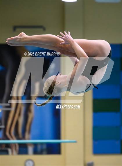 Thumbnail 3 in CHSAA 4A Dive Finals photogallery.