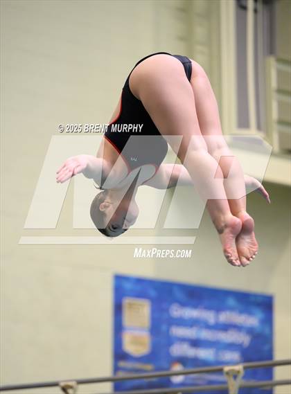 Thumbnail 3 in CHSAA 4A Dive Finals photogallery.