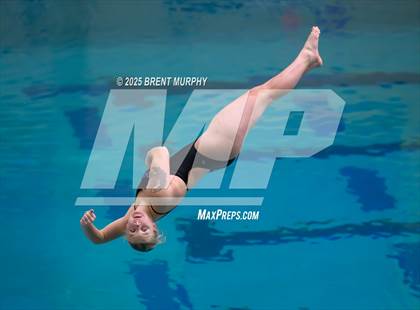 Thumbnail 1 in CHSAA 4A Dive Finals photogallery.