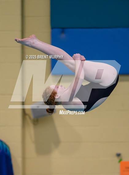 Thumbnail 1 in CHSAA 4A Dive Finals photogallery.