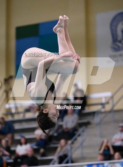 Thumbnail 2 in CHSAA 4A Dive Finals photogallery.