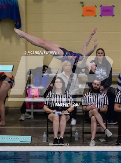 Thumbnail 3 in CHSAA 4A Dive Finals photogallery.