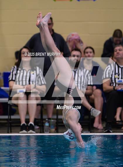 Thumbnail 1 in CHSAA 4A Dive Finals photogallery.