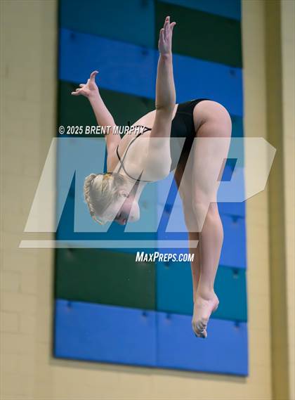 Thumbnail 3 in CHSAA 4A Dive Finals photogallery.