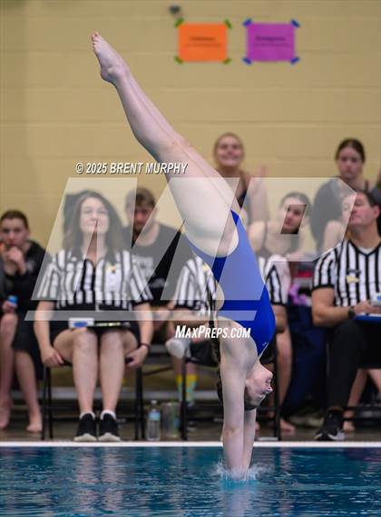 Thumbnail 2 in CHSAA 4A Dive Finals photogallery.