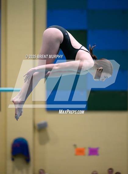 Thumbnail 1 in CHSAA 4A Dive Finals photogallery.