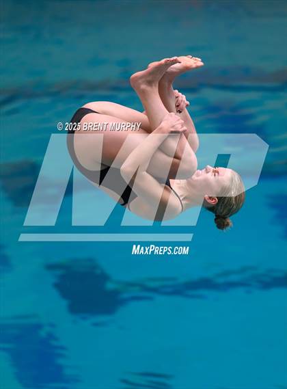 Thumbnail 3 in CHSAA 4A Dive Finals photogallery.