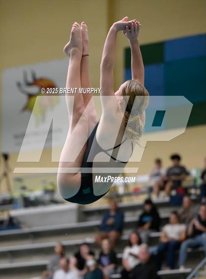 Thumbnail 1 in CHSAA 4A Dive Finals photogallery.