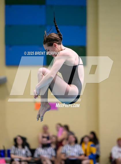 Thumbnail 1 in CHSAA 4A Dive Finals photogallery.