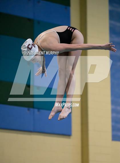 Thumbnail 2 in CHSAA 4A Dive Finals photogallery.